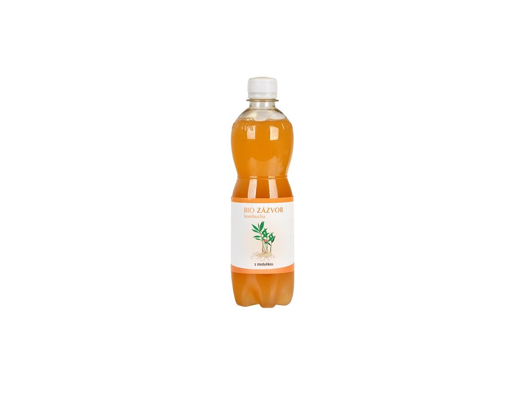 Kombucha Bio Zázvor 0,5 l